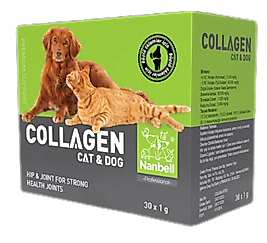Collagen (Kolojen) – Nanbell