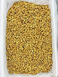 KURU DUT (KOLİ İÇİ=13 KG)