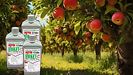 ROKET MAXİ PLUS ORGANOMİNERAL GÜBRE 1 LT