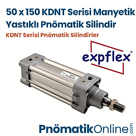 Expflex KDNT 50x150 Manyetik Yastıklı Pnömatik Silindir
