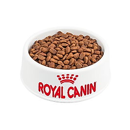 Açık Royal Canin Light Weight Tavuk Etli Açık Yetişkin Kedi Maması