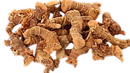 Fırsat Kapısı HAVLICAN KÖK 150 GR