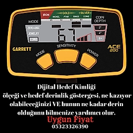 Garrett Ace 200i