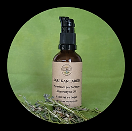 Sarı Kantaron (Hypericum perforatum) Maserasyon Yağı, Aromaterapi Yağı (Zeytinyağında masere)
