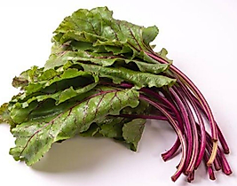 PANCAR YAPRAĞI (1 demet)