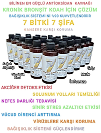 Kronik  bronşit ve  koah için çözüm (250 ml)