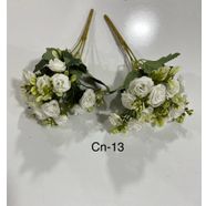 CN - 013