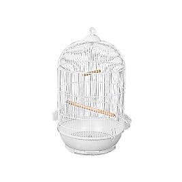 Dayang Yuvarlak Kafes Renkli 40x70 Cm Beyaz