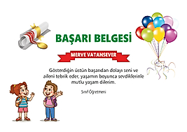 BAŞARI BELGESİ