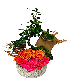 Gri Desenli Saksıda Bonsai ve  Çardak Gülleri