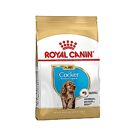 Royal Canin Cocker Yavru Köpek Maması 3 kg