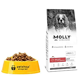 Molly Mini Kuzu & Yaban Mersinli  Küçük Irk Açık Yetişkin Köpek Maması