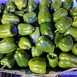 DOLMA BİBER