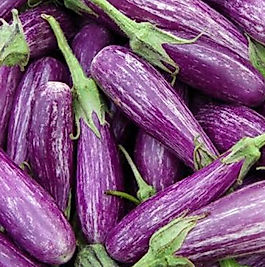 ALACALI PATLICAN (500 gr)