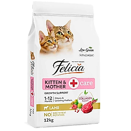 Felicia Kuzu Etli Az Tahıllı Anne ve Yavru Kedi Maması 2 Kg 8681299606689