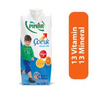 Pınar Çocuk Devam Sütü 500 Ml