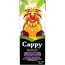 CAPPY 200ML KARISIK