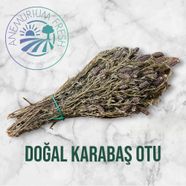 KARABAŞ OTU