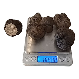 Taze Siyah Trüf Mantarı 100g