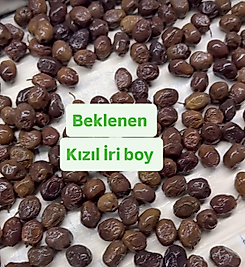 1 kg Kızıl İri zeytin