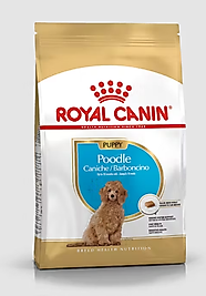 Royal Canin Poodle Yavru Maması (3kg)