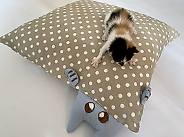 Kedi Ve Küçük Irk Köpek Için Boncuk Silikonlu 50 Cm X50 Cm Yastık Yatak