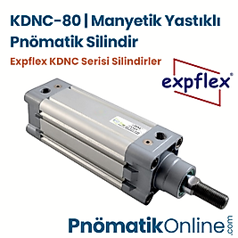 Expflex KDNC-80 Manyetik Yastıklı Pnömatik Silindir