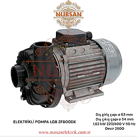 Lgb & Fır ZF800DX Bulaşık Makinesi Yıkama Motoru