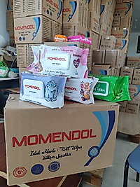 ISLAK MENDİL ÇEŞİTLERİ 120 Lİ