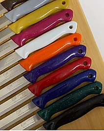 Solingen meyve bıçağı (6'lı takım