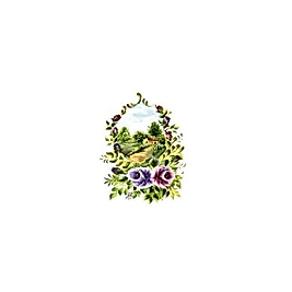 Gülsün Ülkü 17*25 G-09