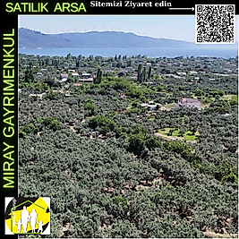 1003-SATILIK ARSA (Zeytinlik)- BALIKESIR - ERDEK - DÜZLER-BELKIS Mah.-2 875 m²- FIYAT  5 965 000 TL
