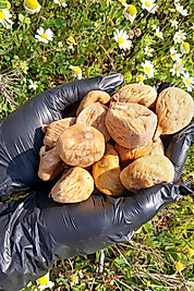 ORGANİK KURU İNCİR ORTA BOY 1KG