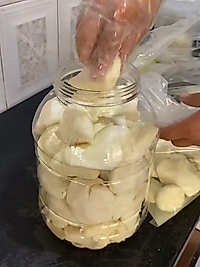 Antep Peyniri 
     ( inek )