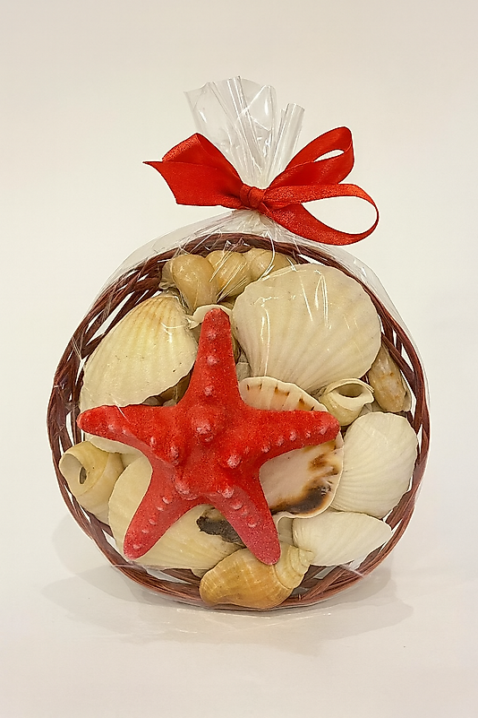 Dekoratif Deniz Kabukları ve Yıldızı Sepeti