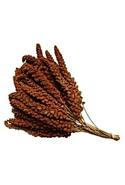 Dal darı kızıl 1 kg
