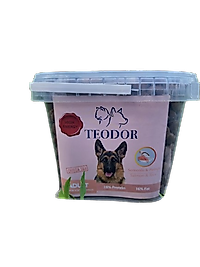 TEODOR ADULT 28% PROTEİNLİ SOMONLU KÖPEK MAMASI 1 KG