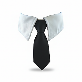 Plaza Boy | Stil Sahibi Kravatlı Yaka | El Yapımı Gömlek Yaka | FEDD’s Pet Style