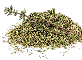 DAĞ KEKİĞİ
