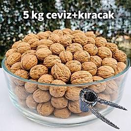 5 KG İnce Kabuklu Beyaz Ceviz + Ceviz Kıracak
