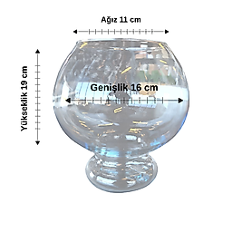Özel Kesim Cam Fanus Ağız 11 cm Genişlik 16 cm Yükseklik 19 cm