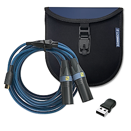 SoundWire Minyatür USB-C ses arabirimi