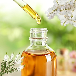 %100 Niaouli  Yağı (MELALEUCA QUINQUENERVIA OIL) Seyreltilmemiştir ve Esans İçermez!