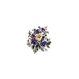 Gülsün Ülkü 17*25 G-36