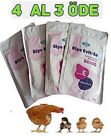 BİYO EVİTSE 100 GR 4 AL 3 ÖDE