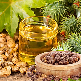 %100 Hint Yağı  (Ricinus Communis Seed Oil) Seyreltilmemiştir ve Esans İçermez!