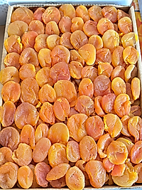 3 NO'LU MALATYA KAYSI (KUTU İÇİ=5 KG)