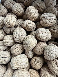1 kg ceviz kabuklu