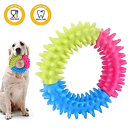 Kedi Köpek Diş Kaşıma Rain Bow Yuvarlak