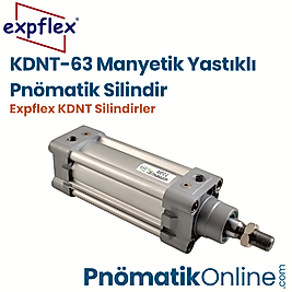 Expflex KDNT-63 Manyetik Yastıklı Pnömatik Silindir